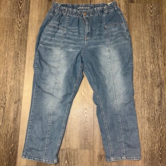 Gemma Rae Blue Jeans Women’s Stretch Denim Pants Hi-Rise Size 24W - Picture 1 of 5